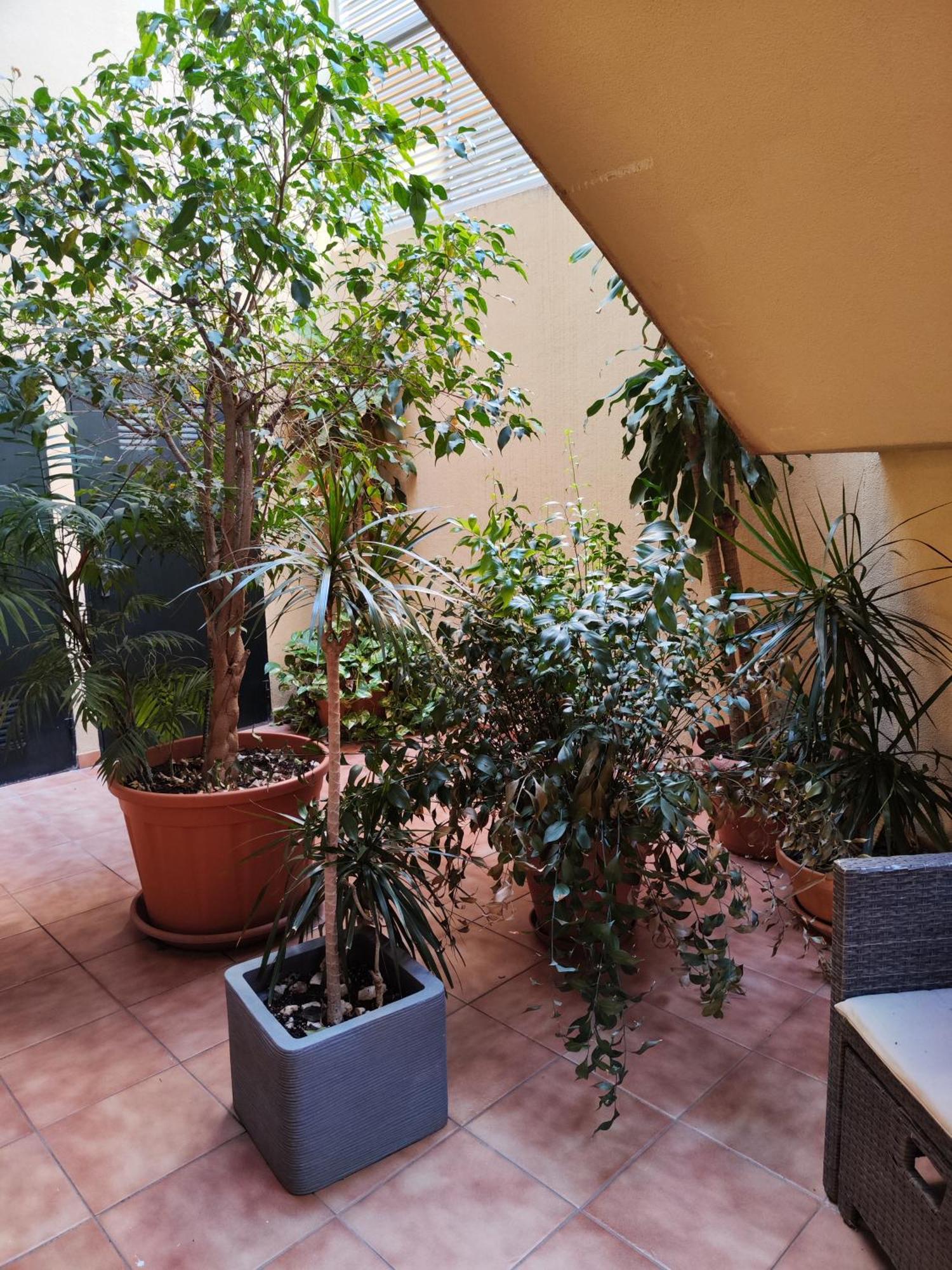 דירות Malaga Experience מראה חיצוני תמונה